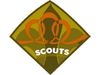 scout1.jpg