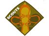 scout2.jpg