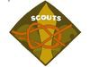 scout3.jpg
