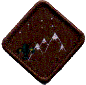 fmis15.gif