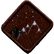 fmis15.gif