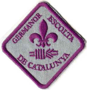 gec12.jpg
