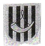 autono28.jpg
