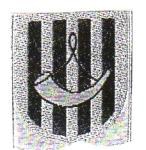 autono28.jpg