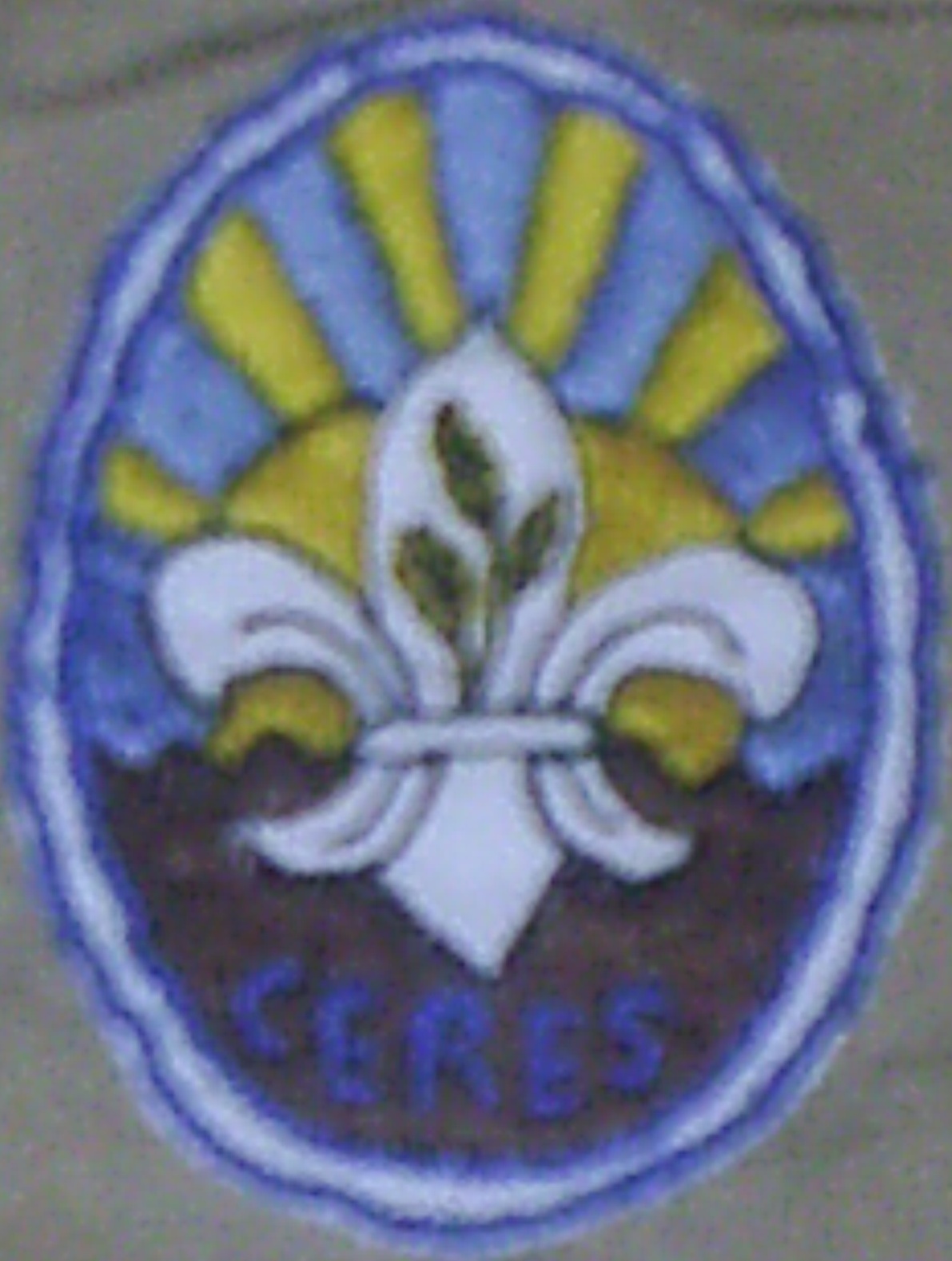 grupo scout ceres - sagrajas badajoz.JPG